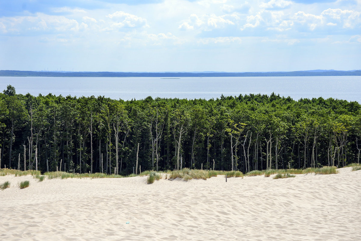 Blick von der Lontzkedüne (polnisch Wydma Łącka) auf den Lebasee, die Bäume die schon vom Sand erreicht wurden, sterben ab
Aufnahme: 17. August 2020.