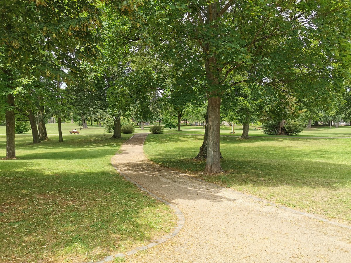 Blick vom Main in den Schlosspark Philippsruhe in Hanau. Foto vom 27.06.2020.