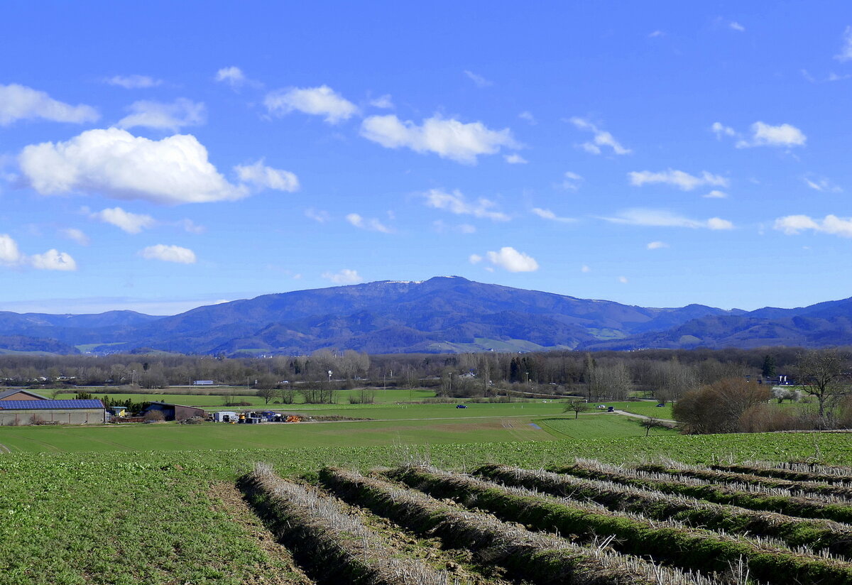 Blick vom Marchhügel in der Rheinebene Richtung Osten zum 1242m hohen Kandel im mittleren Schwarzwald, Feb.2024