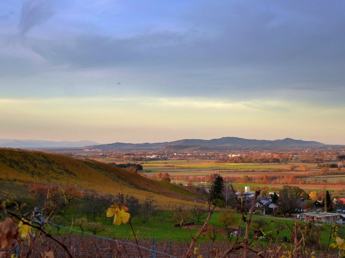 Blick vom Markgrflerland bei Staufen zum Kaiserstuhl, bei abendlicher Herbststimmung, Nov.2015