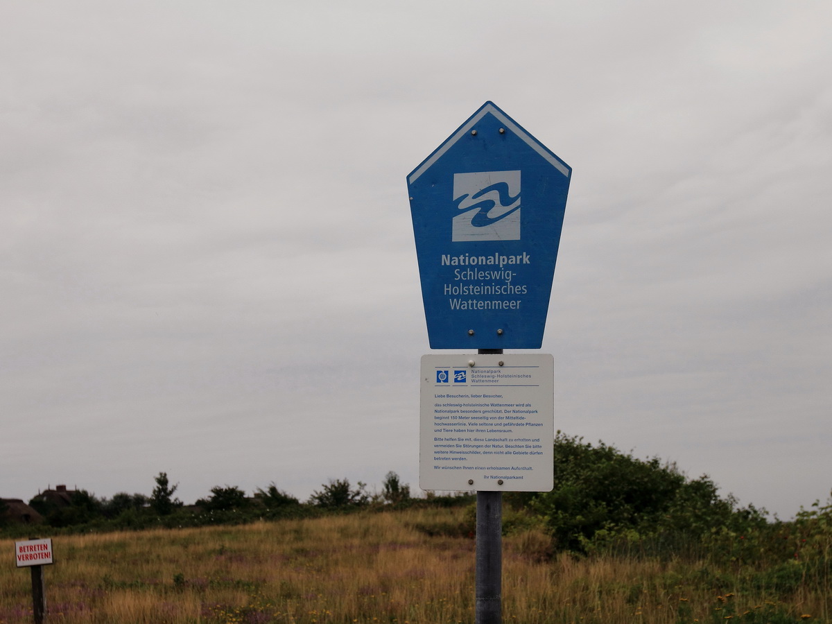 Blick in den Nationalpark Schleswig Holsteinisches Wattenmeer am 18. August 2015.