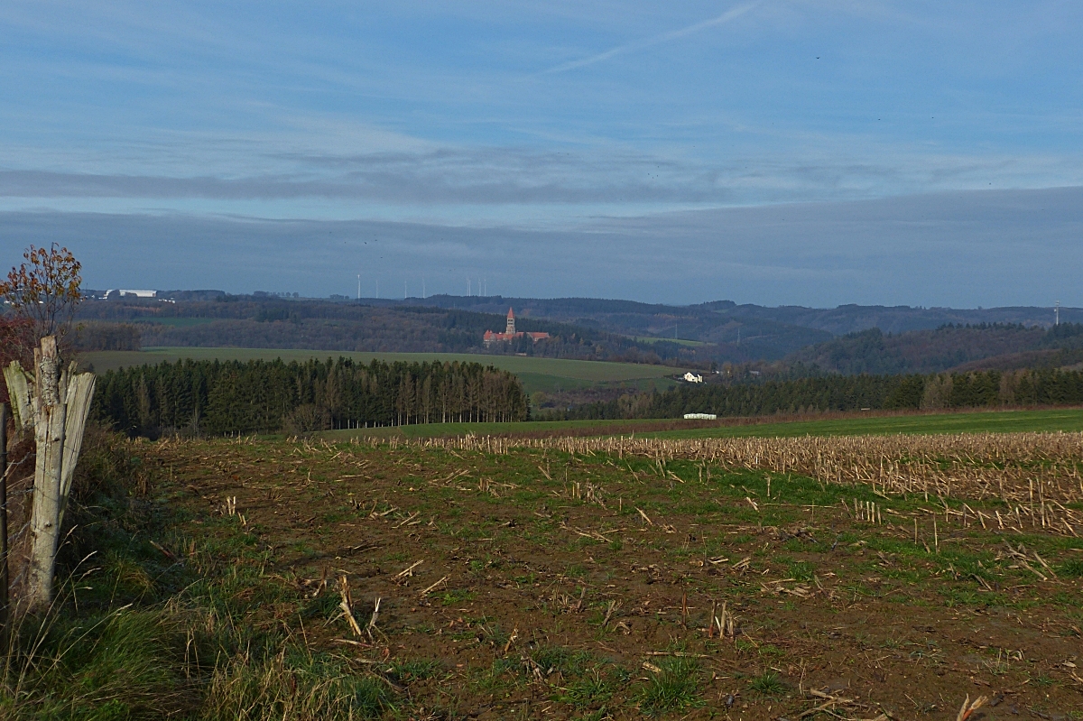 Blick in Nördlicher Richtung, über die hügelige Landschaft im Norden von Luxemburg, aufgenommen in der Nähe von Munshausen. 18.11.2020 