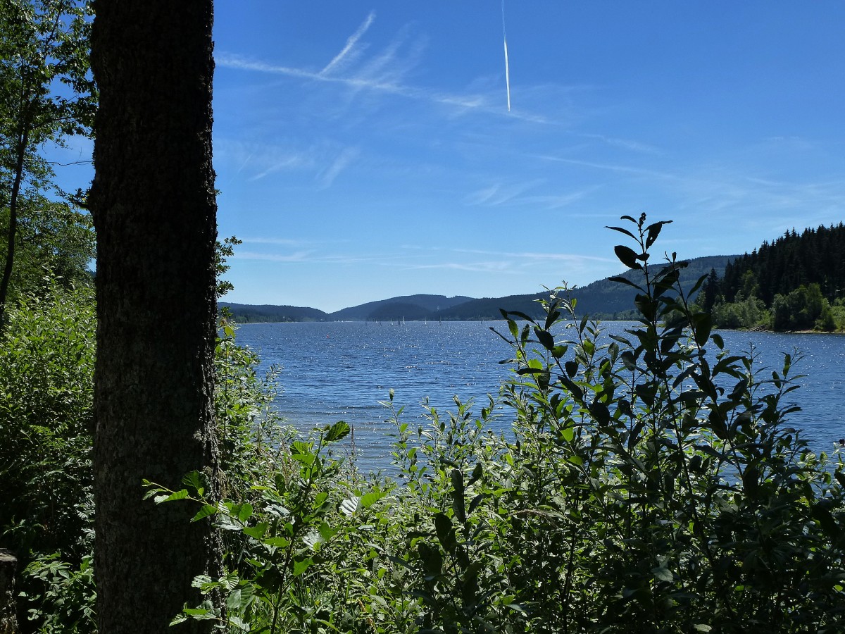 Blick vom Nord-West-Ufer ber den Schluchsee im Schwarzwald, Juli 2014