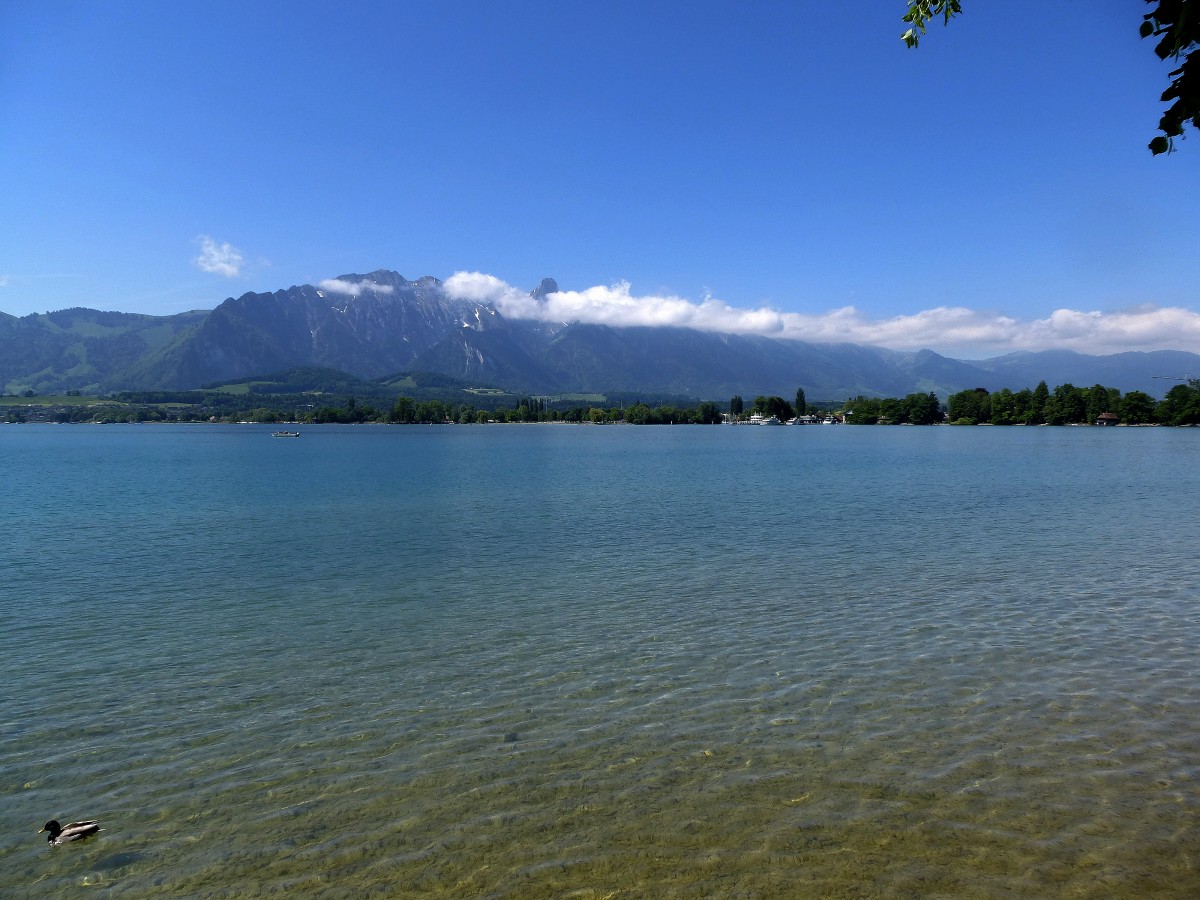 Blick vom Nordufer bei Thun ber den Thunersee, Mai 2015