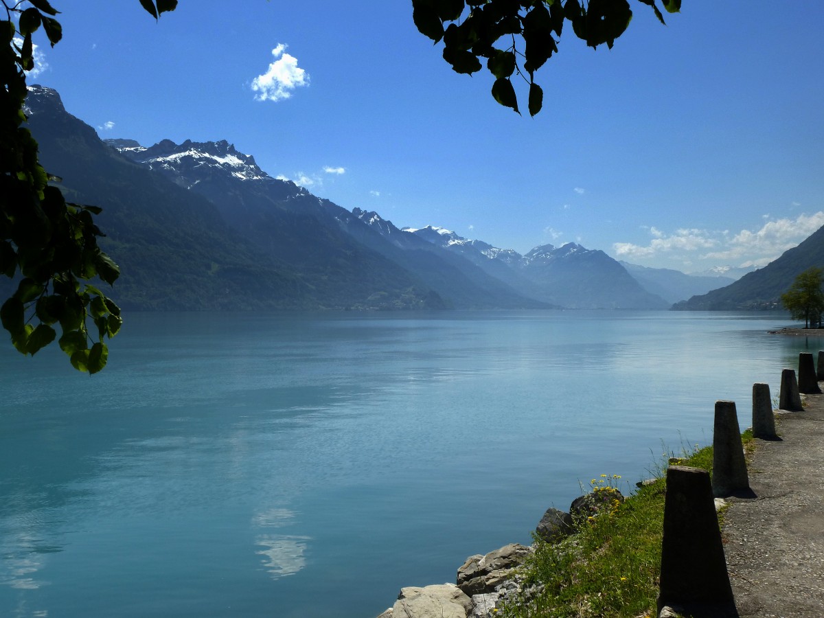 Blick vom Nordufer ber den Brienzersee Richtung Interlaken, Mai 2015