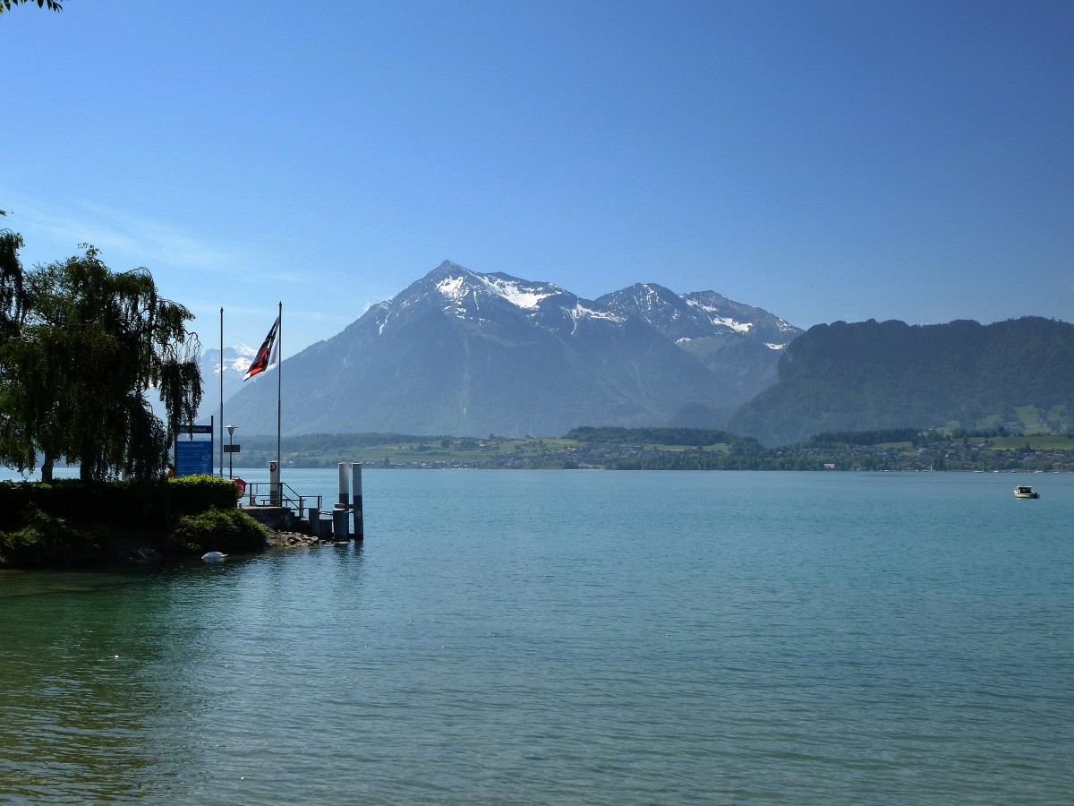 Blick vom Nordufer ber den Thunersee auf das Berner Oberland, Mai 2015