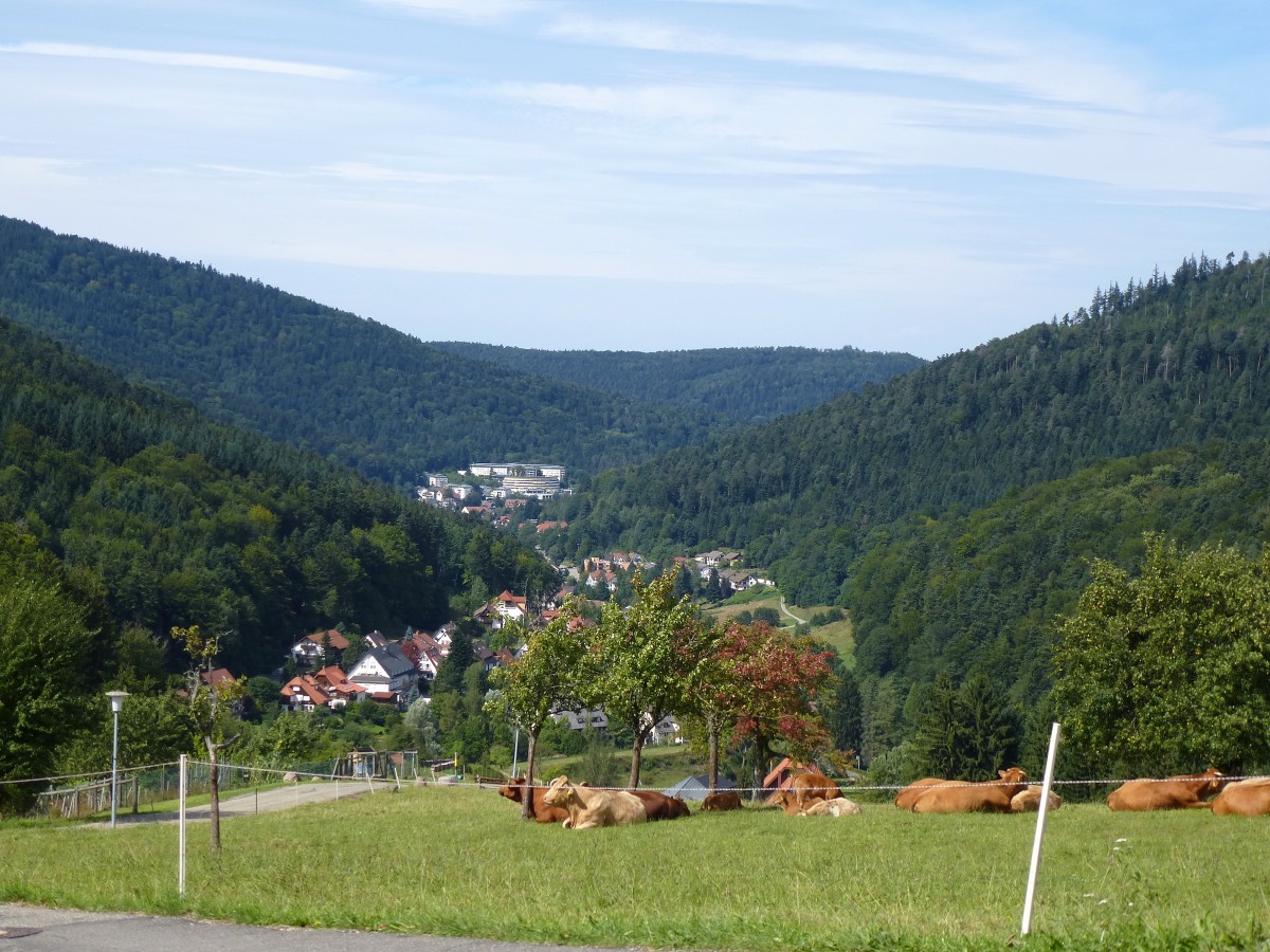 Blick vom oberen Gaistal nach Bad Herrenalb/Nordschwarzwald, Aug.2015