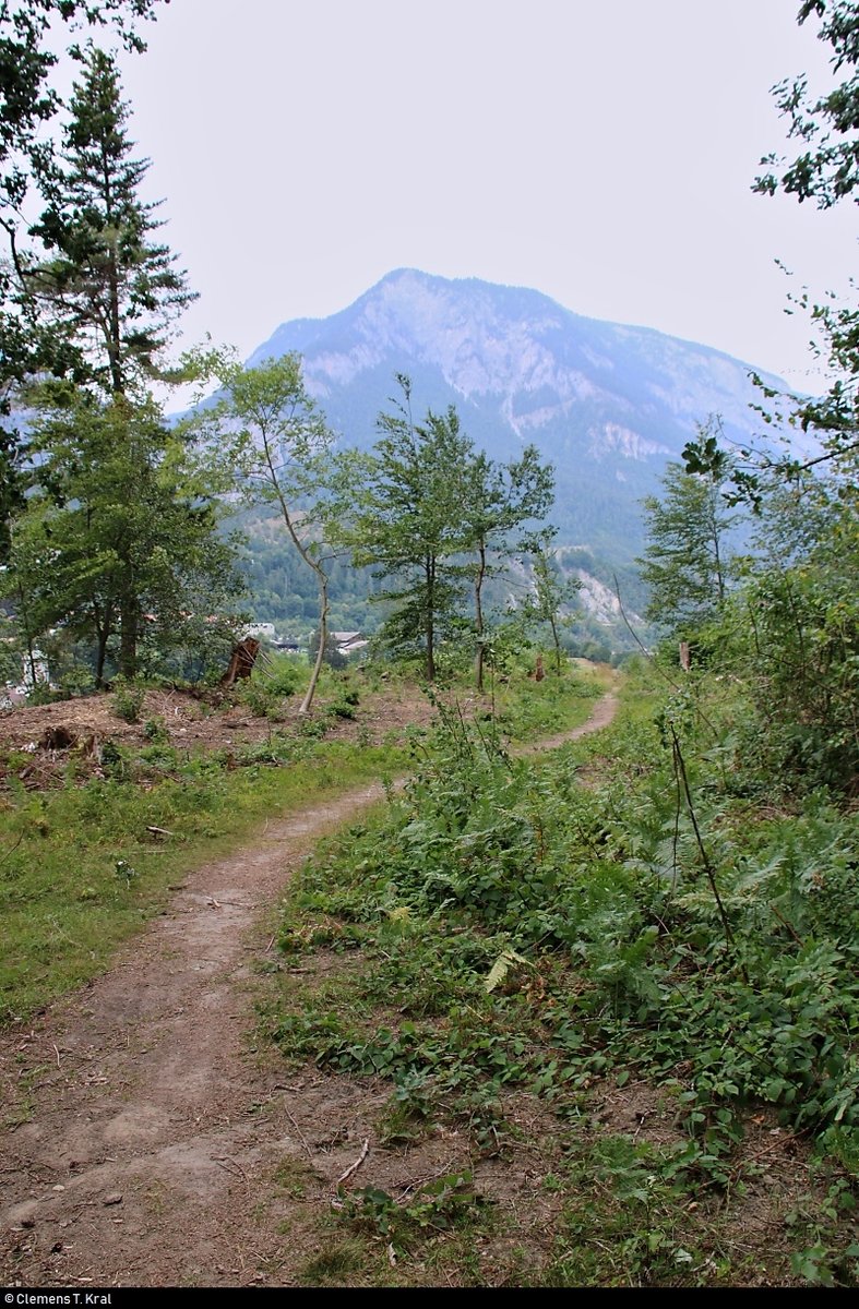 Blick vom Ort Reichenau (Gemeinde Tamins) im Kanton Graubünden (CH) Richtung Kunkelspass.
[10.7.2018 | 17:17 Uhr]