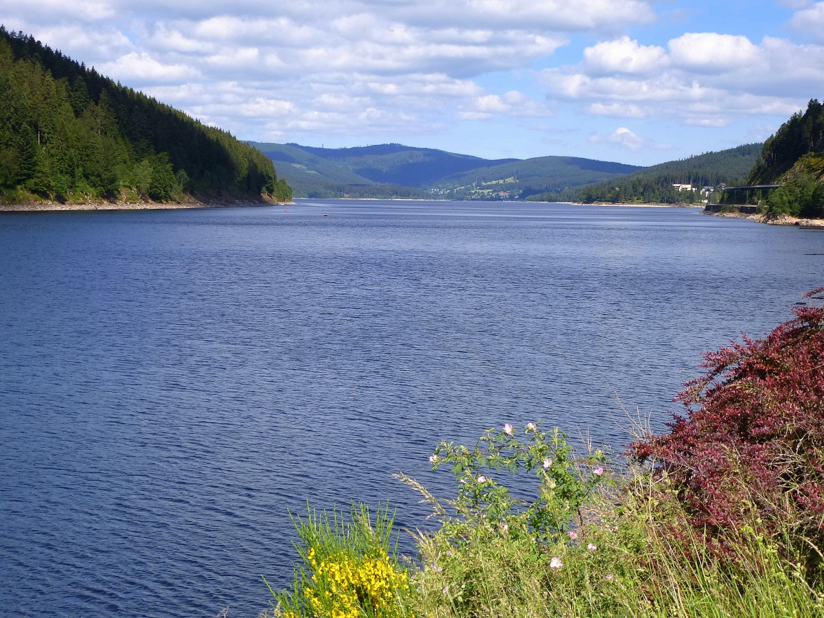 Blick vom Ort Seebrugg ber den Schluchsee im Schwarzwald, Juni 2014