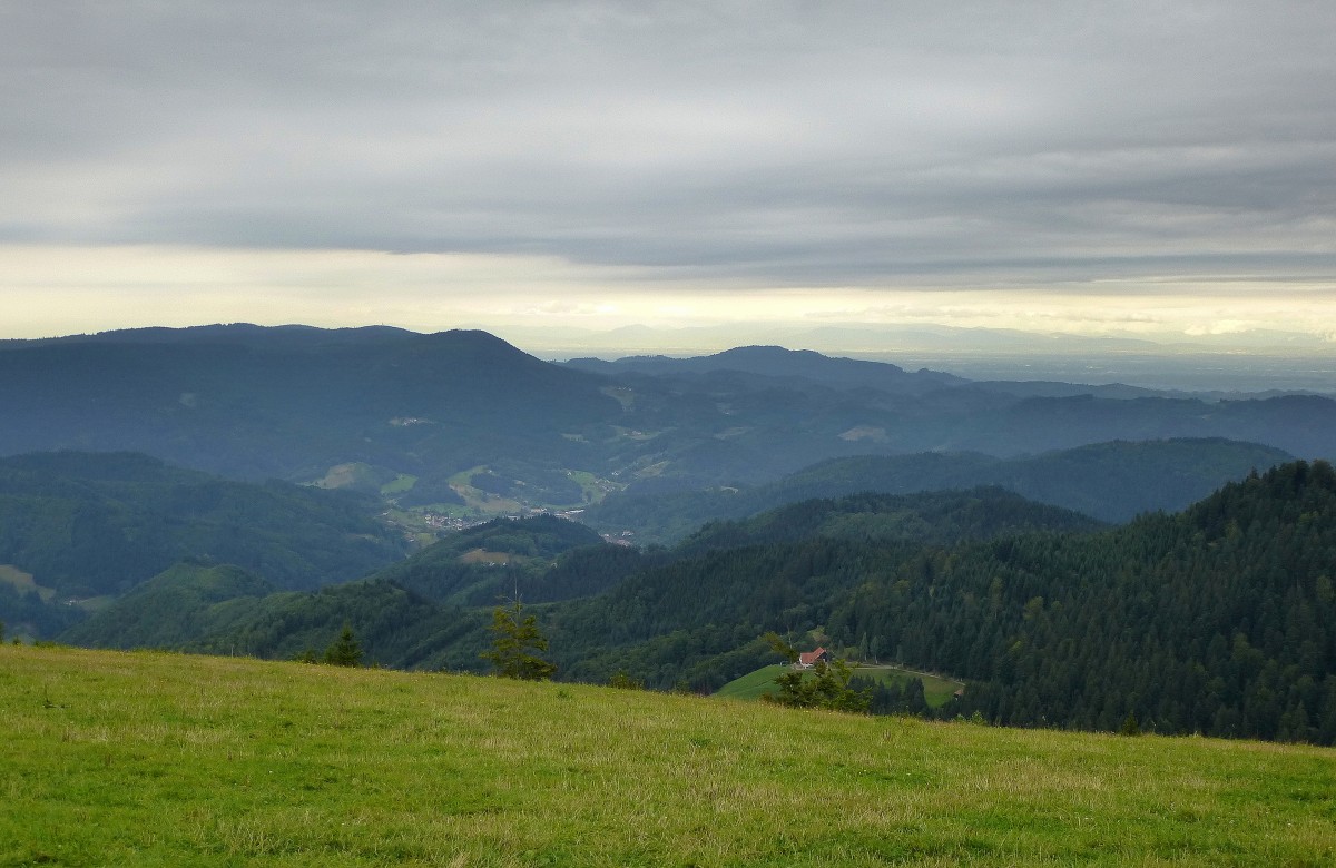 Blick vom Ortsteil Zuflucht ins Renchtal und in die Rheinebene rechts am Horizont, bei wolkenverhangenem Himmel, Aug.2015