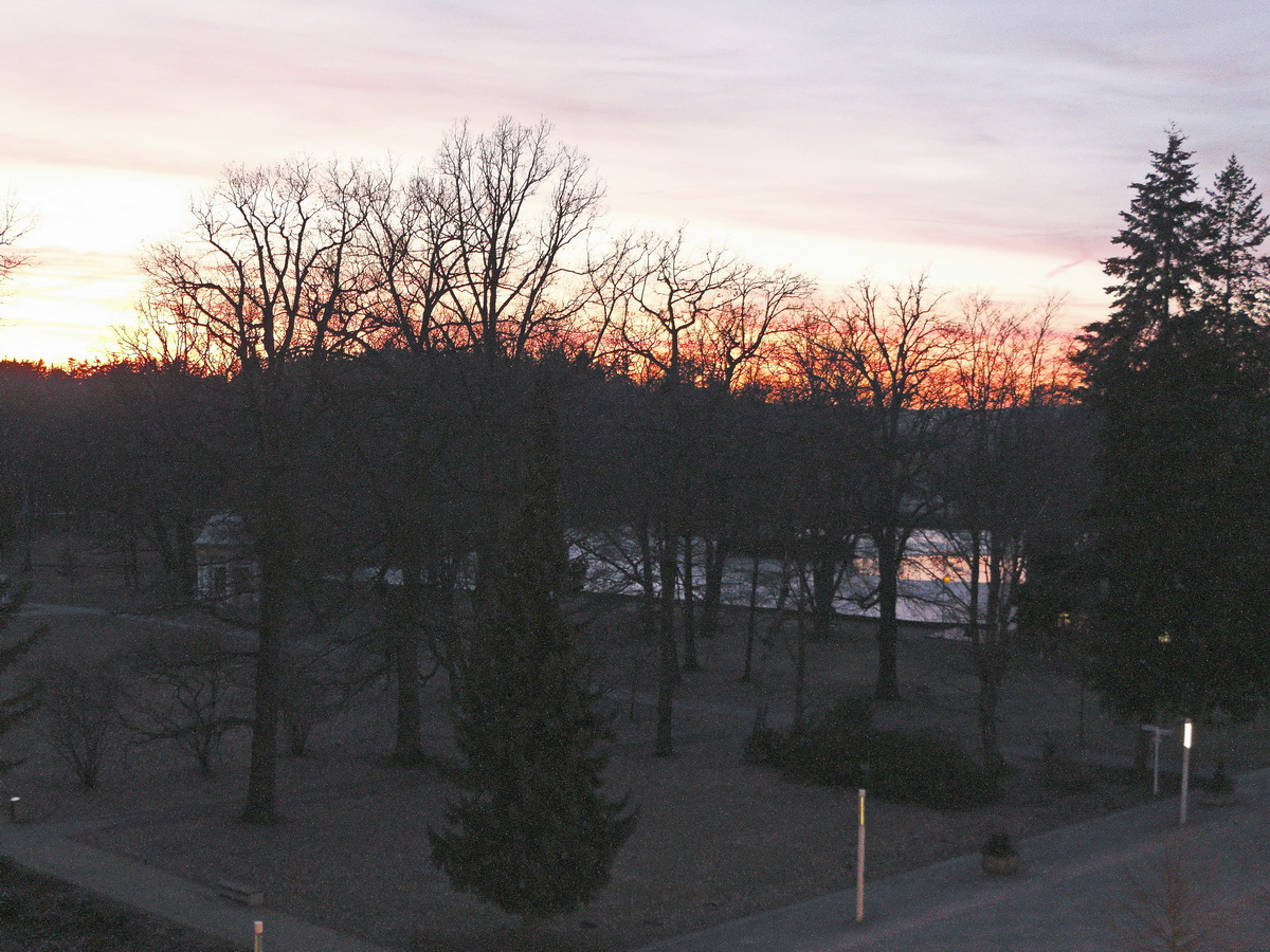 Blick von der Promenade in den Westend Park zum Schwanensee am 17. Februar 2019 am Abend.