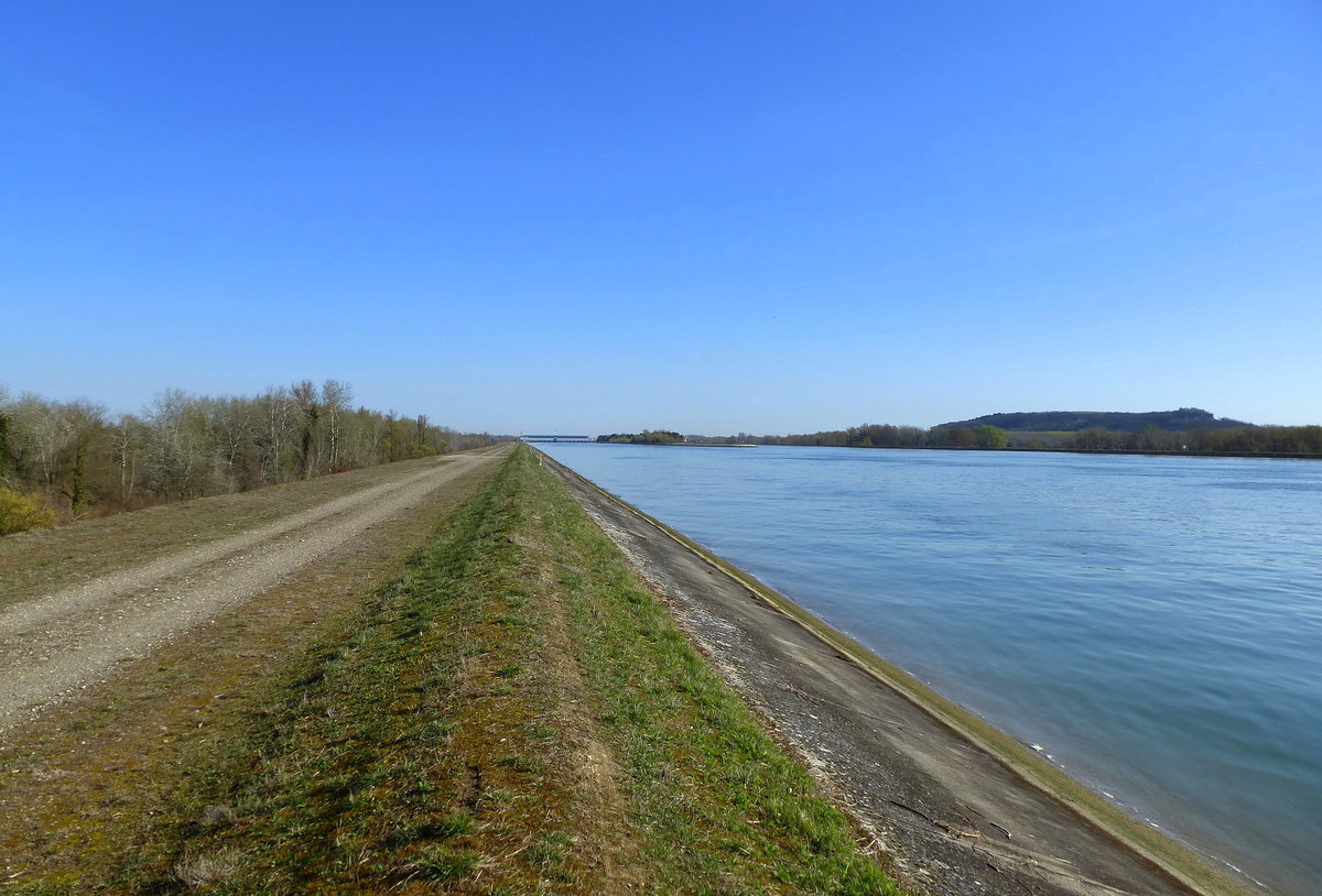 Blick vom Rheindamm fluabwrts, links am Horizont das E-Kraftwerk Marckolsheim, rechts auf der deutschen Seite der 272m hohe Limberg bei Sasbach/Kaiserstuhl, Mrz 2017