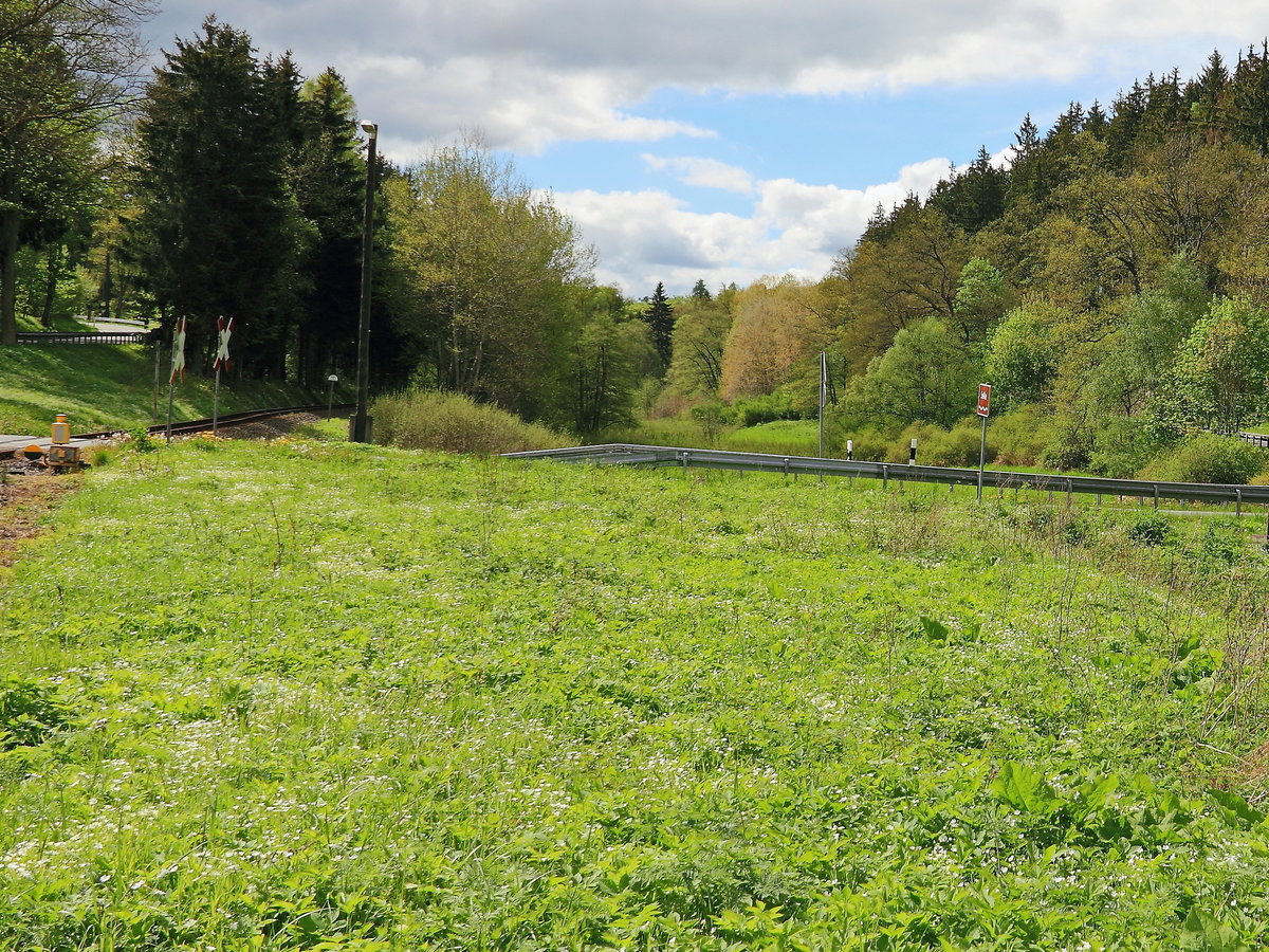 Blick in Richtung L236 in Höhe Friedrichshöhe mit Übergang an der Strecke der Harzer Schmalspurbahn.