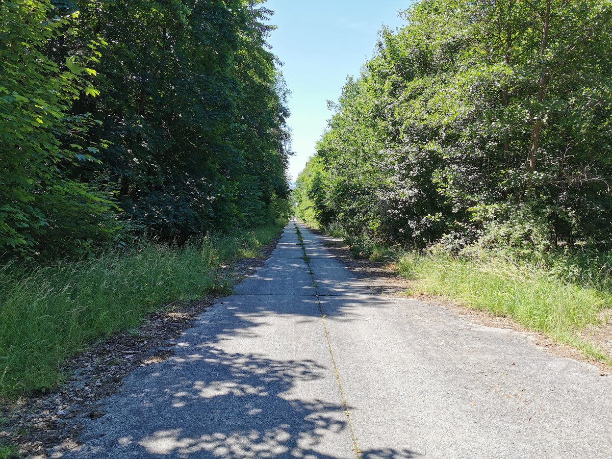 Blick Richtung Norden auf die alte Betonstraße  10. Schneise  bei Fernwald Annerod. Die ehemals militärisch genutzte Straße lädt heute zum Wandern in der Natur ein. Foto vom 24.06.2020.