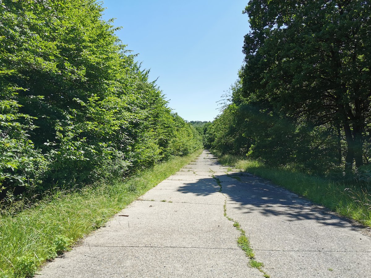 Blick Richtung Süden auf die alte Betonstraße  10. Schneise  bei Fernwald Annerod. Die ehemals militärisch genutzte Straße lädt heute zum Wandern in der Natur ein. Foto vom 24.06.2020.