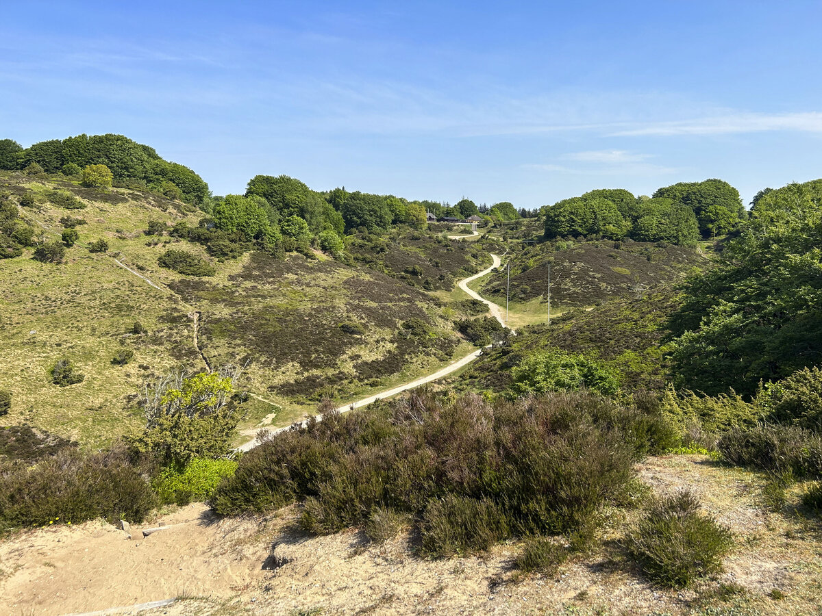 Blick vom Sønderkol auf Rebild Bakker. Obwohl sich Rebild Bakker National Park nennt, ist es kein Nationalpark im Sinne des dänischen Naturschutzes. Aufnahme: 22. Mai 2023.