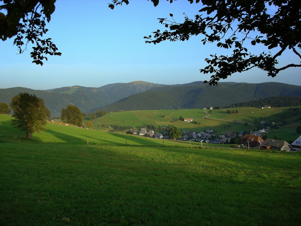 Blick vom Schauinsland zum 1492m hohen Feldberg, hchste Erhebung im Schwarzwald, im Tal die Ortschaft Hofsgrund, Sept.2008