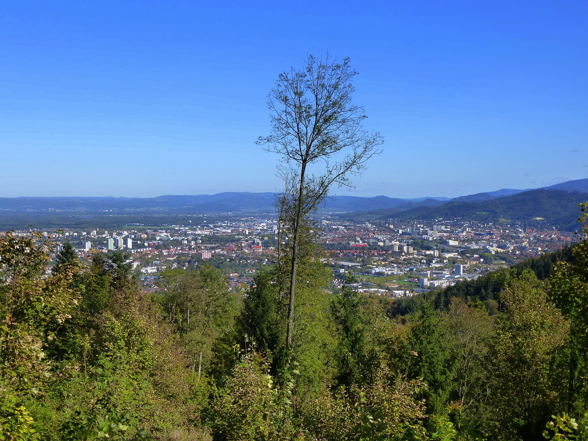 Blick von der Schneeburg, auf einem 516m hohen Nebengipfel des Schönberges gelegen, auf Freiburg, Okt.2014