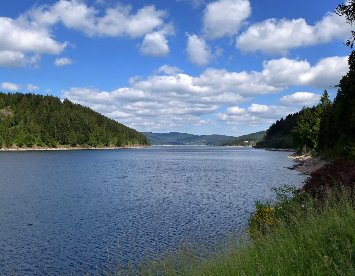 Blick von Seebrugg ber den Schluchsee/Schwarzwald, Juni 2014