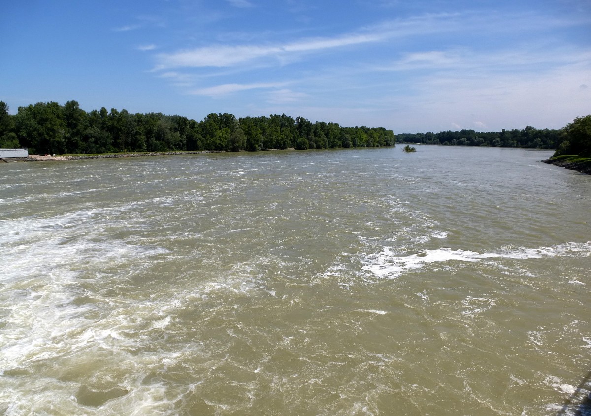 Blick vom Stauwehr bei Weisweil fluabwrts auf den Rhein, Aug.2014