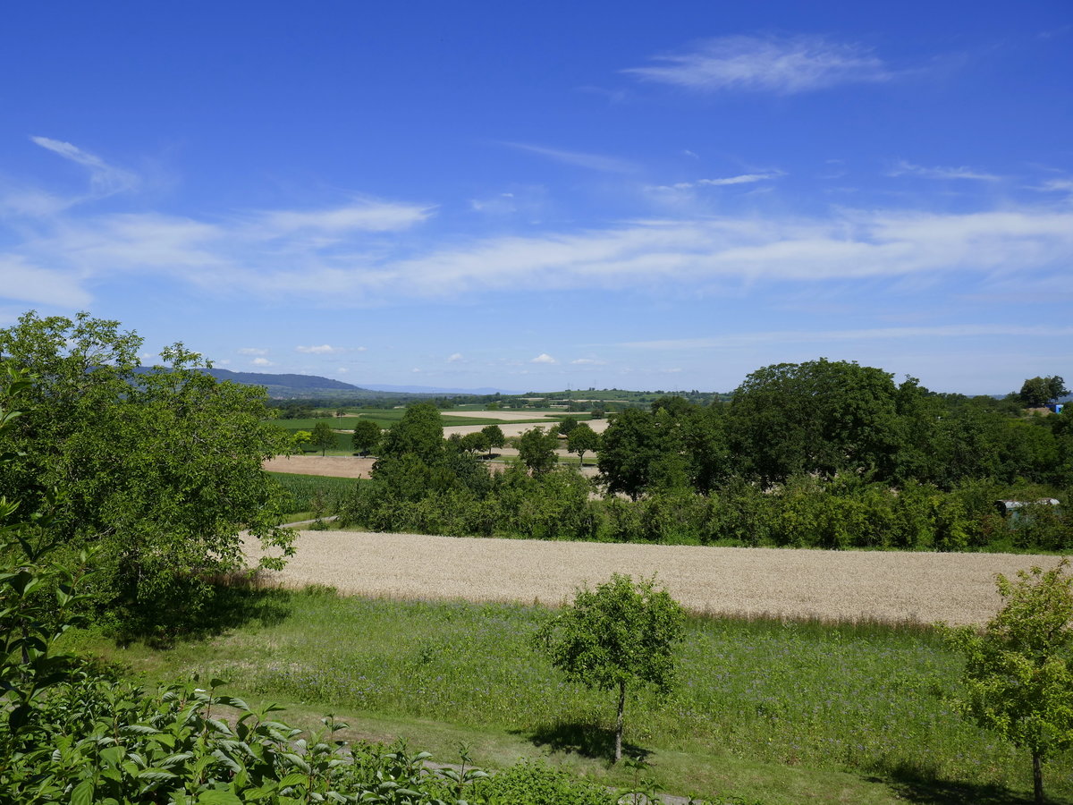 Blick von der Sternwarte auf dem Marchhügel bei Buchheim Richtung Norden, links die Nord-Ost Ausläufer des Kaiserstuhls, Juni 2020