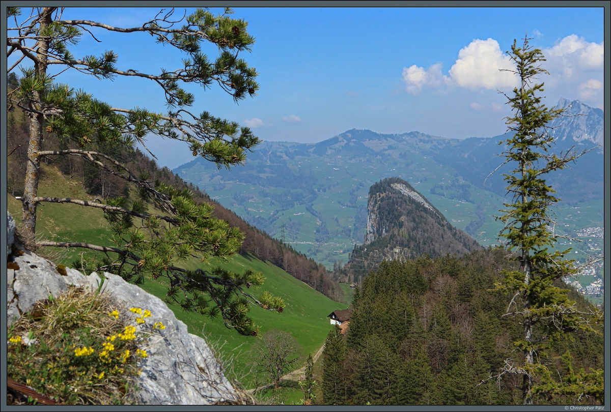Blick vom Stockflue auf einen weiteren Felsgipfel am Urmiberg bei Brunnen. (22.04.2022)