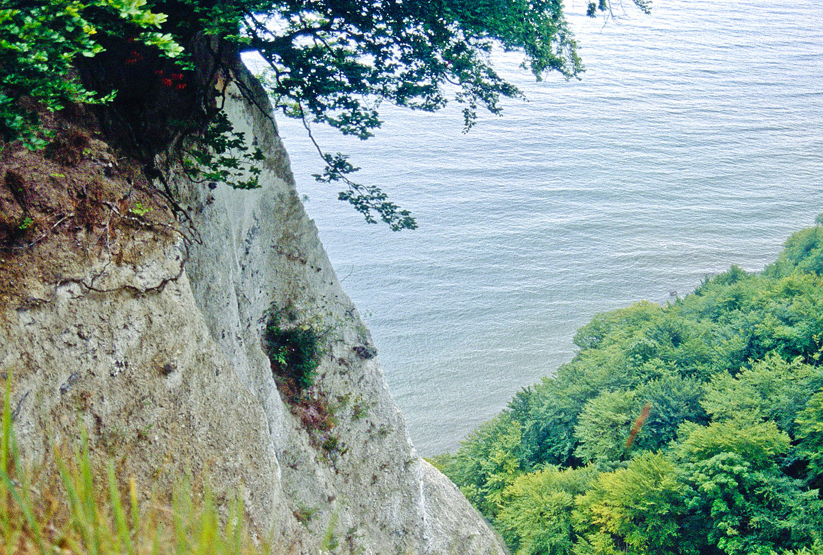 
Blick vom Stubbenkammer auf der Insel Rügen. Bild vom Dia. Aufnahme: August 2001.