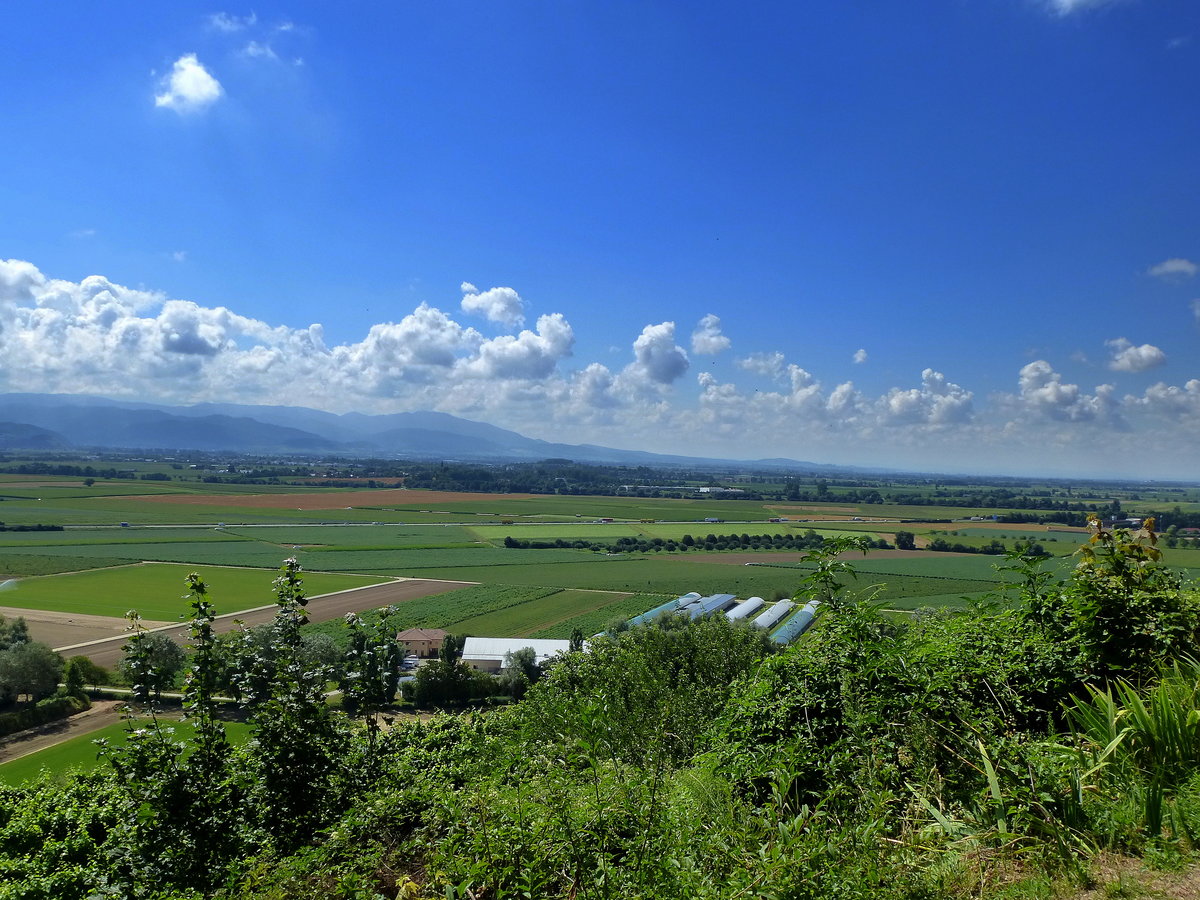 Blick von der Sdostspitze des Tuniberges ber die Rheinebene zu den Bergen des Schwarzwaldes, Aug.2016