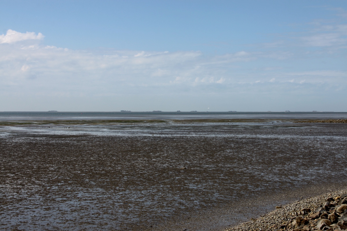 Blick von der Tamenswarf, auf Hallig Langeness, zur Hallig Hooge. (08.06.2012)