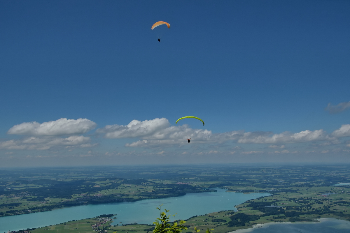 Blick vom Tegelberg auf den Forggensee. (Hohenschwangau, Juli 2017)