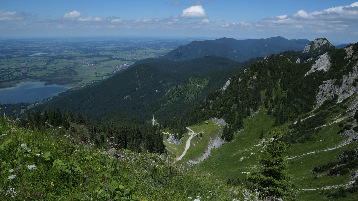 Blick vom Tegelberg. (Hohenschwangau, Juli 2017)