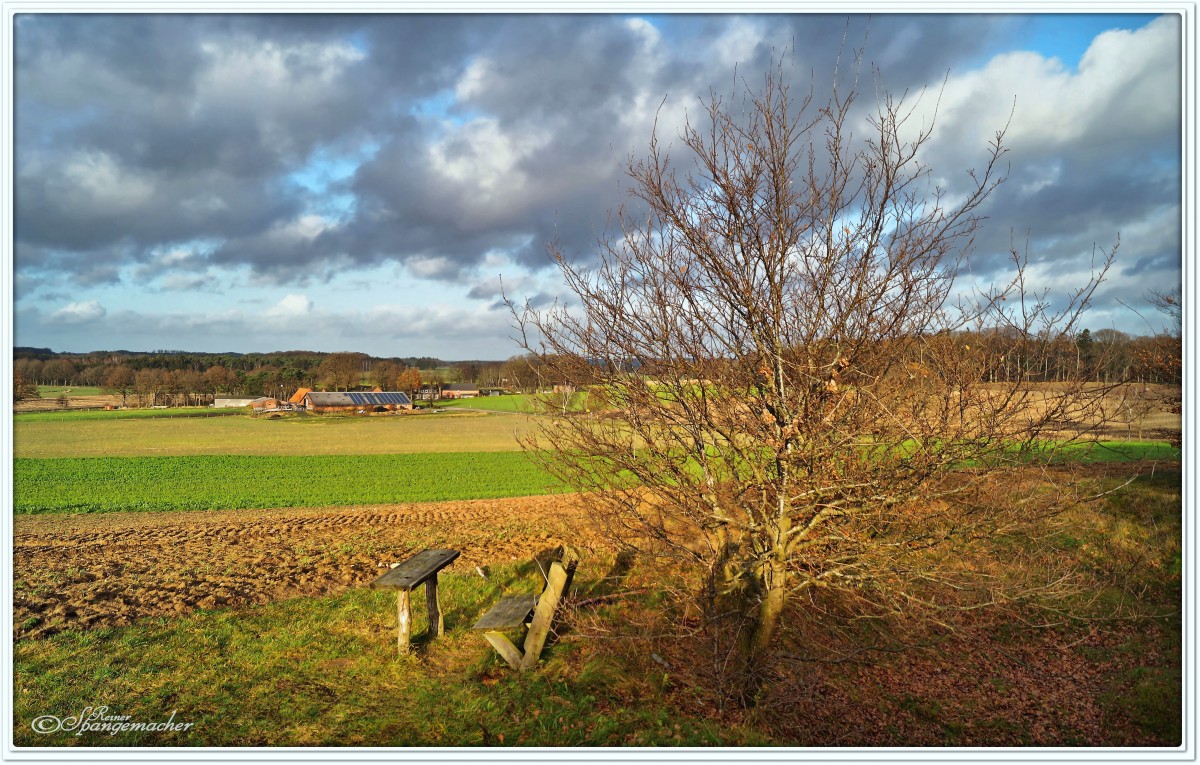 Blick vom Todtshorner Berg, im südlichen Kreis Harburg, Dezember 2015