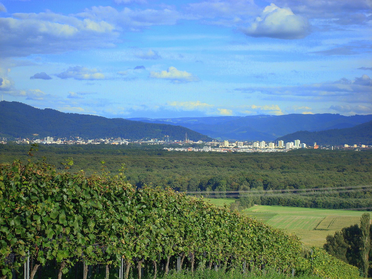 Blick vom Tuniberg auf Freiburg und den Schwarzwald, Sept.2010