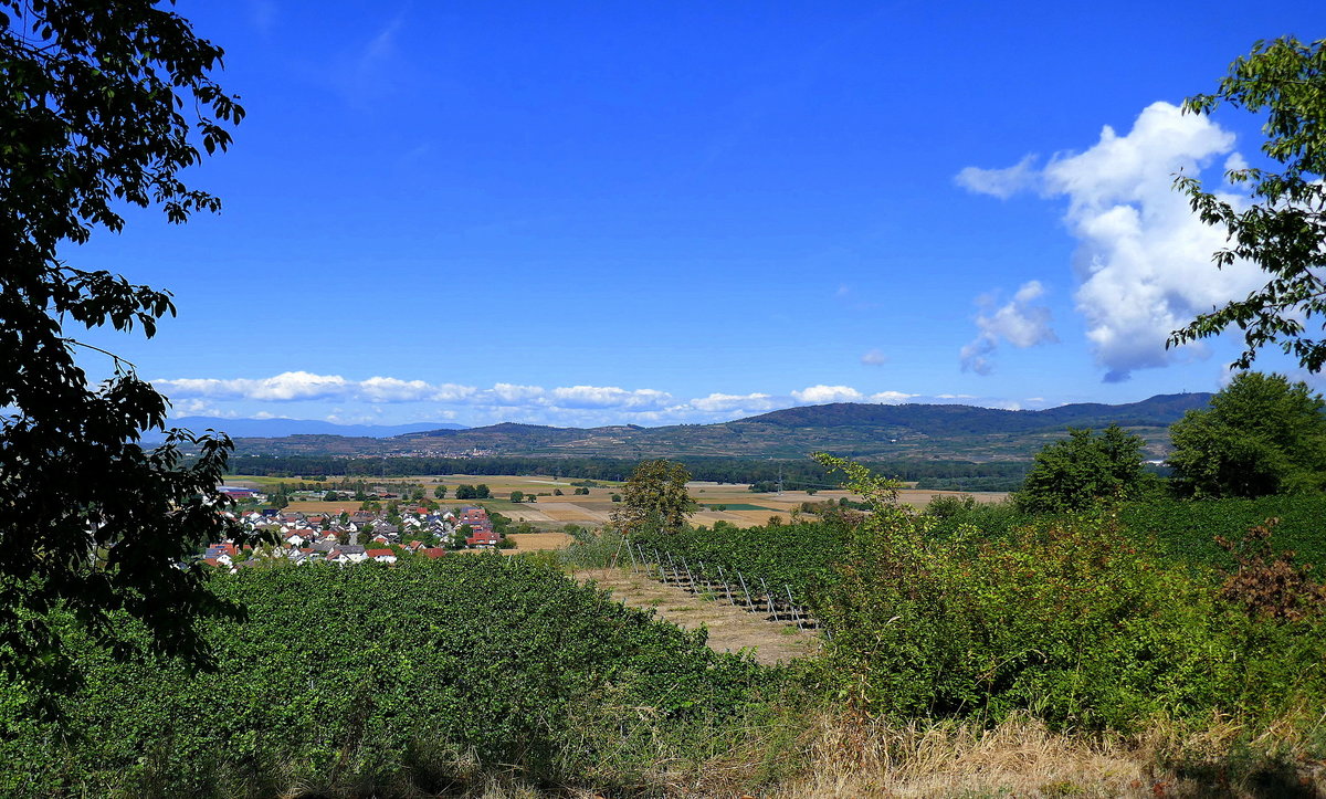 Blick vom Tuniberg hinüber zum Kaiserstuhl, links im Vordergrund der Ort Merdingen, am Horizont die Vogesen, Sept.2018