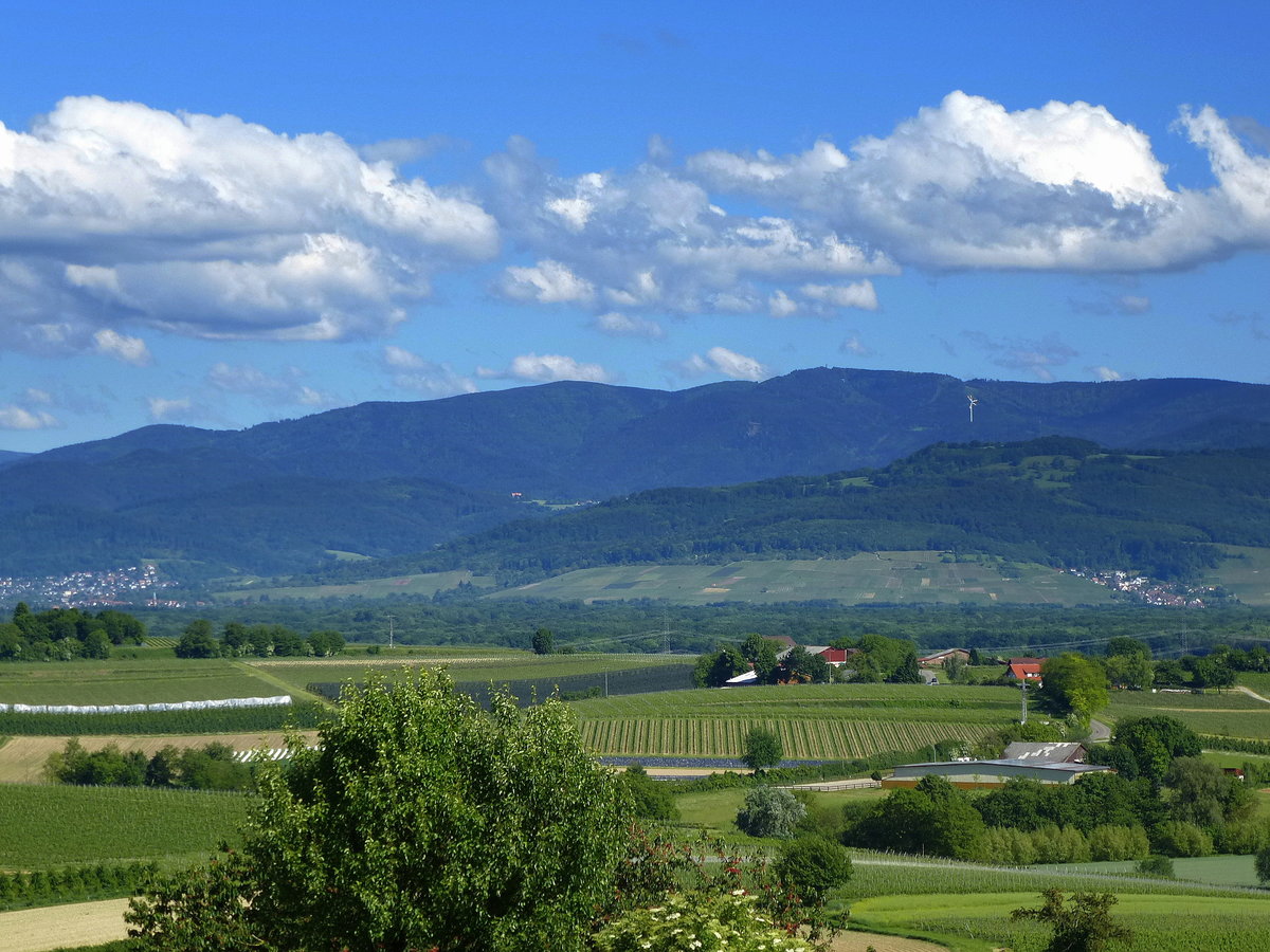 Blick vom Tuniberg in der Rheinebene zum 1284m hohen Schauinsland, ganz links die Huser gehren zu Freiburg, Mai 2014