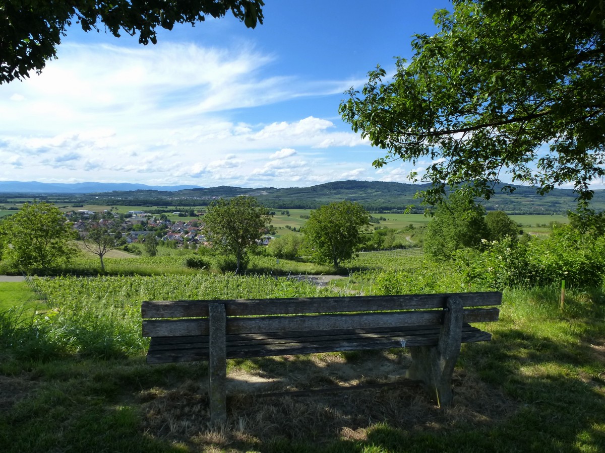 Blick vom Tuniberg ber den Weinort Merdingen zum sdlichen Kaiserstuhl, links im Hintergrund die Vogesen, Mai 2014