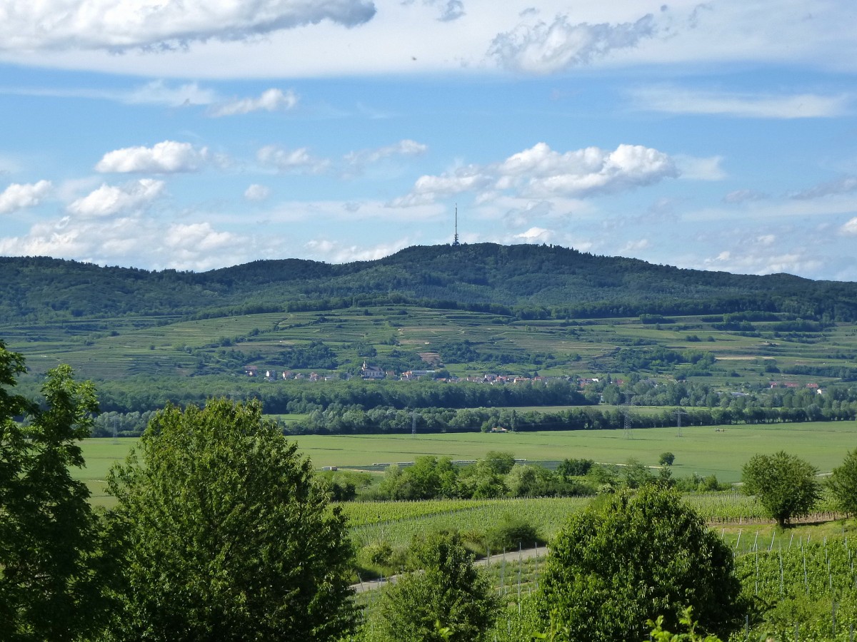 Blick vom Tuniberg zum stlichen Kaiserstuhl mit dem Weinort Wasenweiler, Mai 2014