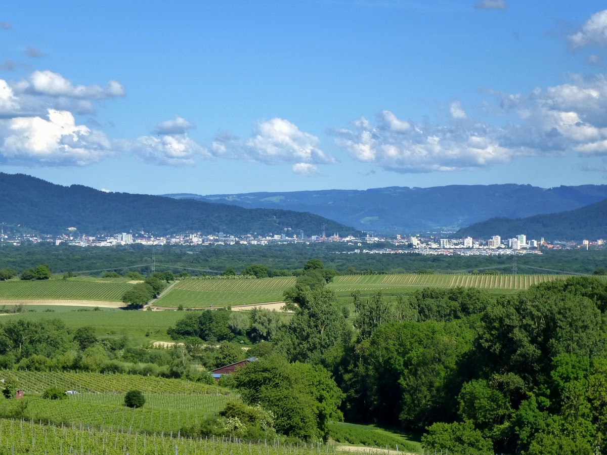 Blick vom Tuniberg zum Schwarzwald, davor die Stadt Freiburg, Mai 2014