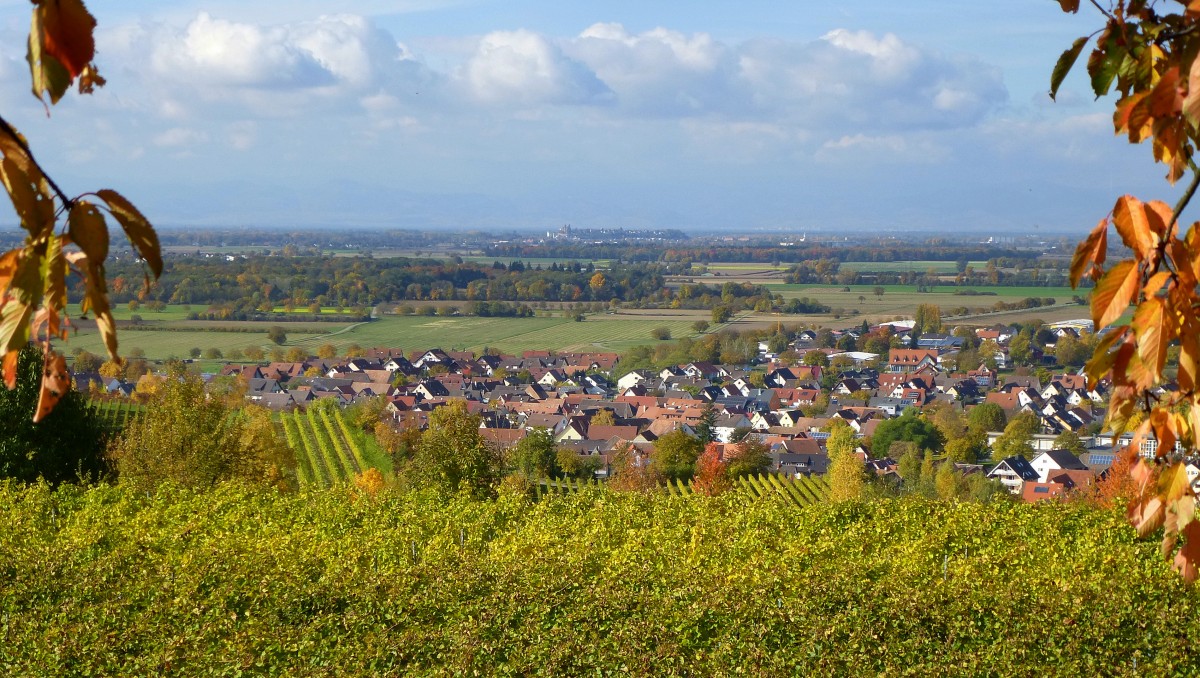 Blick vom Tuniberghhenweg auf den Weinort Merdingen, in der Ferne der Burgberg von Breisach am Rhein, Okt.2015