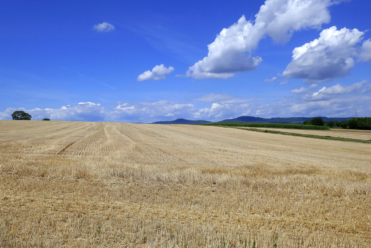 Blick über die abgeernteten Getreidefelder auf dem Marchhügel zum Kaiserstuhl, Juli 2020