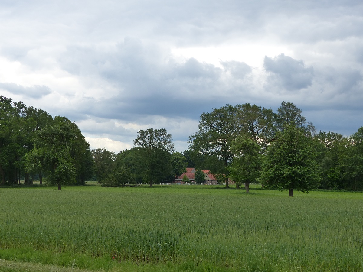 Blick über die Bauerschaft Sellen bei Burgsteinfurt, 25.05.2022