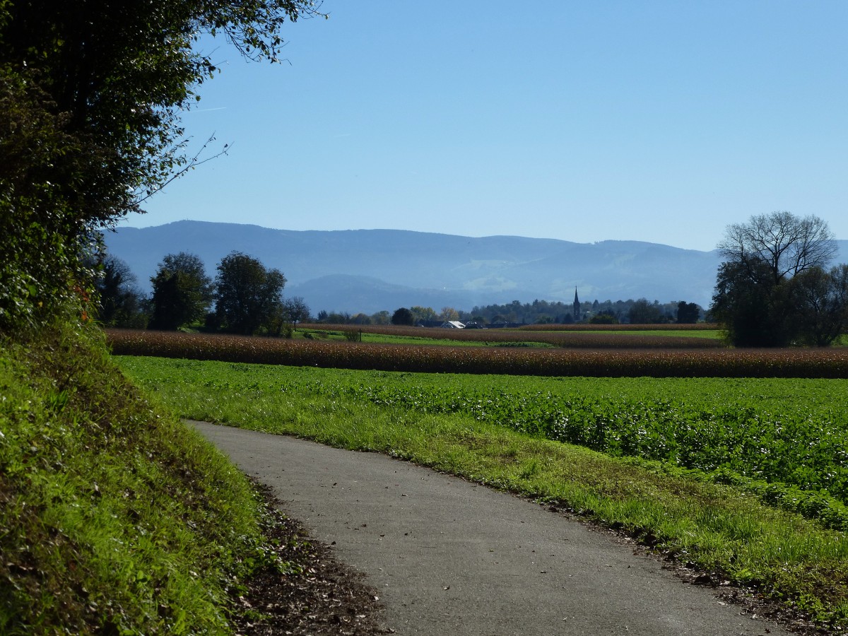 Blick ber Buchheim in der Rheinebene zum Schwarzwald, Okt.2014