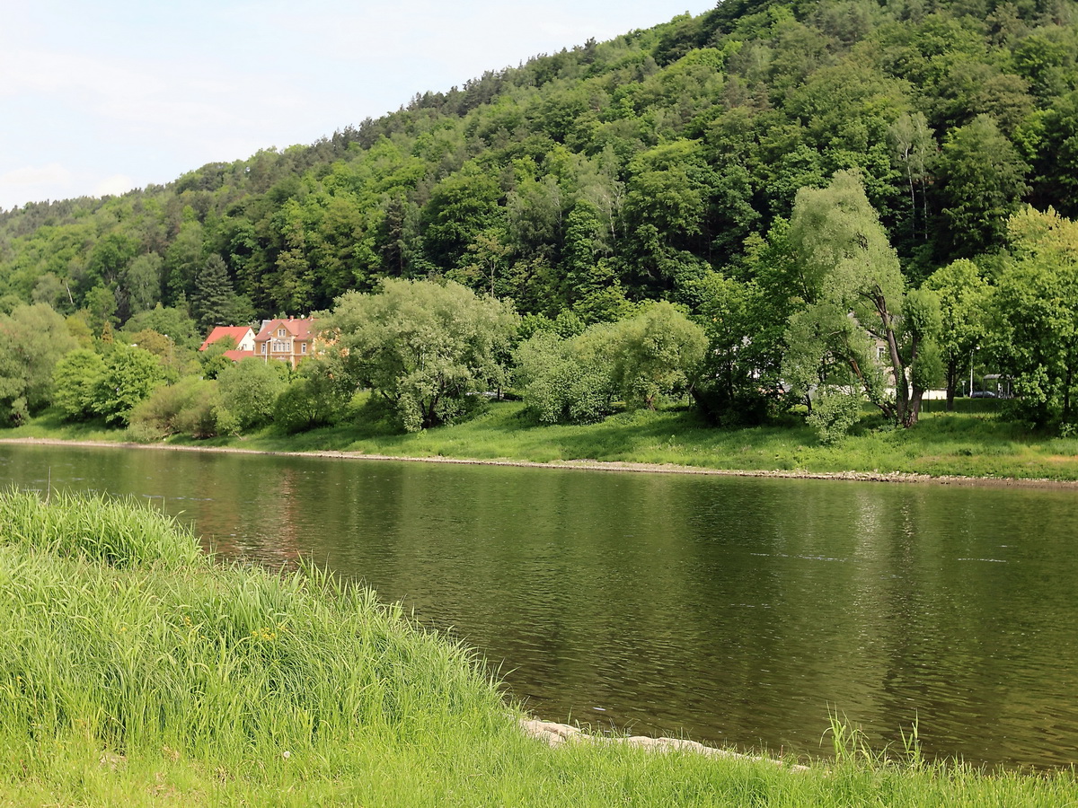 Blick über die Elbe in Richtung Elbstraße in Bad Schandau am 21. Mai 2016, Standort Fährstelle Bad Schandau Bahnhof.