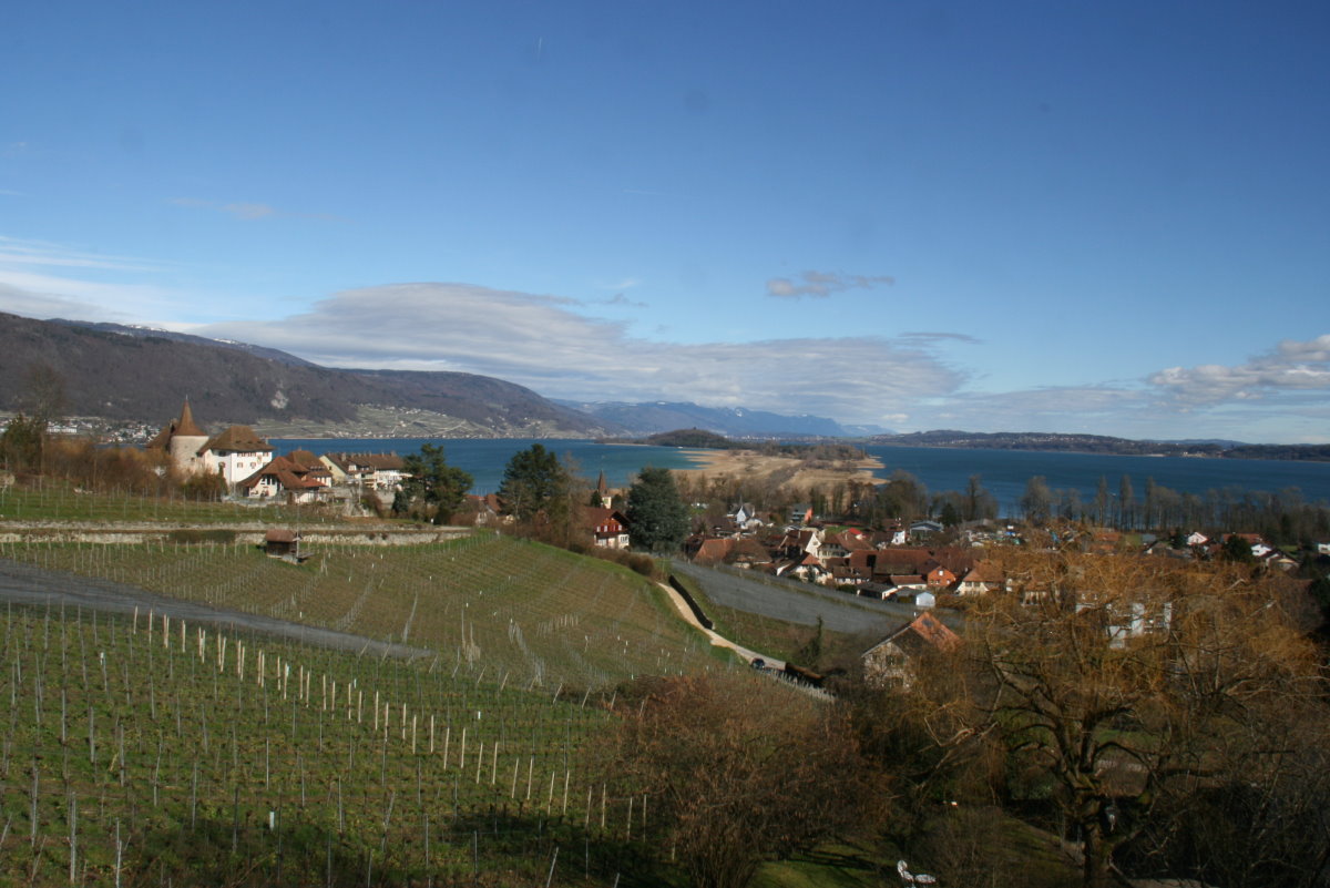 Blick über Erlach zum Bielesee mit der Juraflanke; 20.02.2016