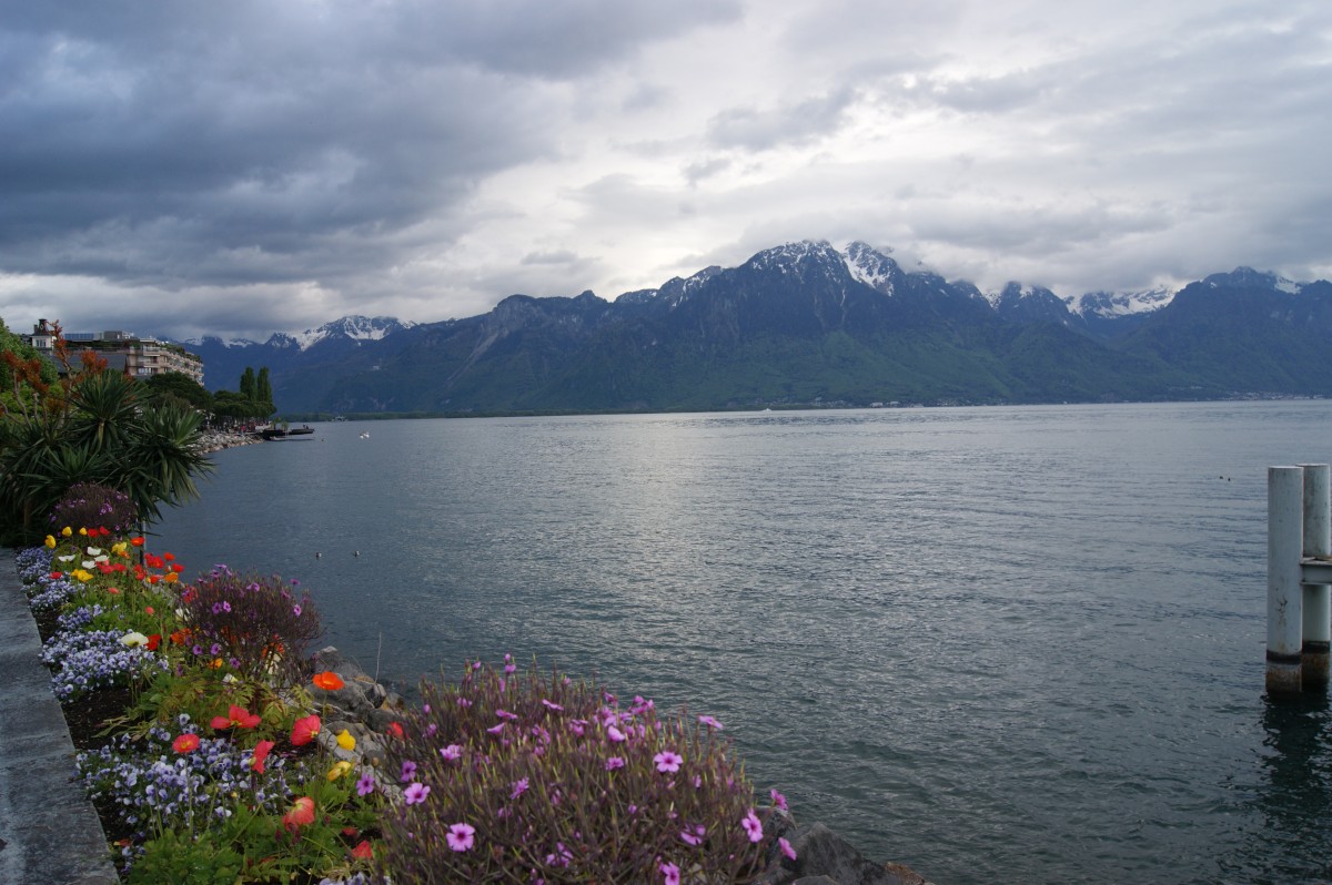 Blick über den Genfer See von Montreux aus. (02.05.2014)