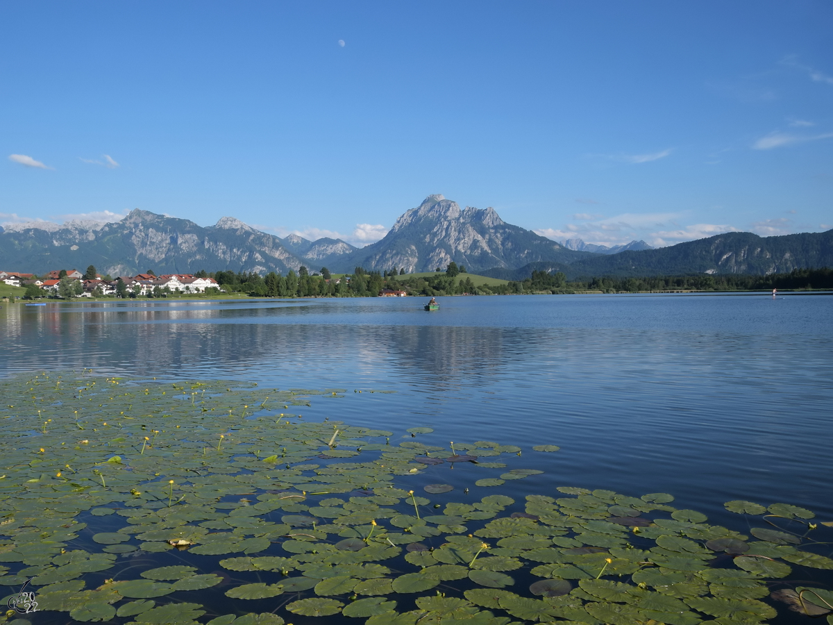 Blick über den Hopfensee. (Hopfen am See, Juli 2017)