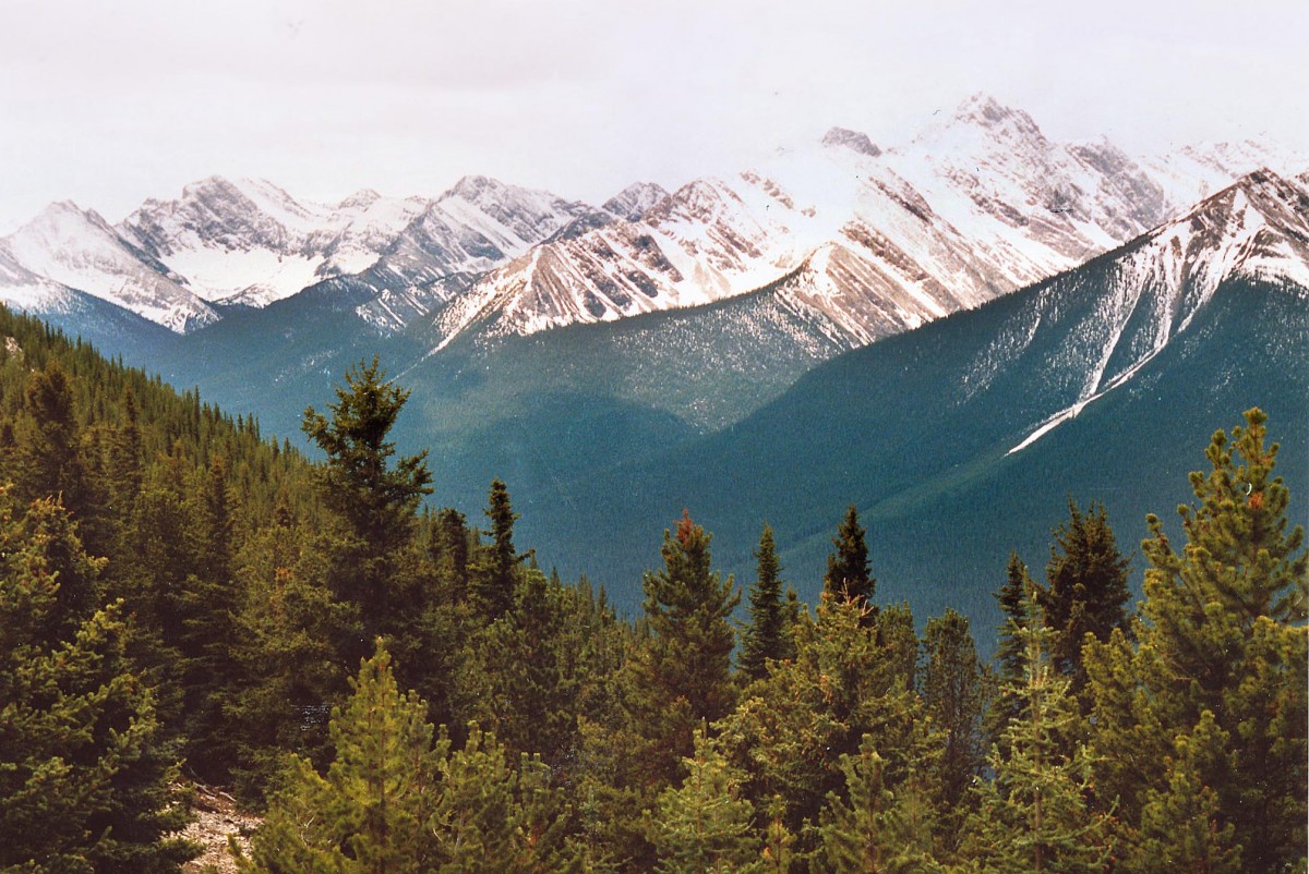 Blick über Mount Revelstoke National Park. Aufnahme: Mai 1987 (digitalisiertes Negativfoto).
