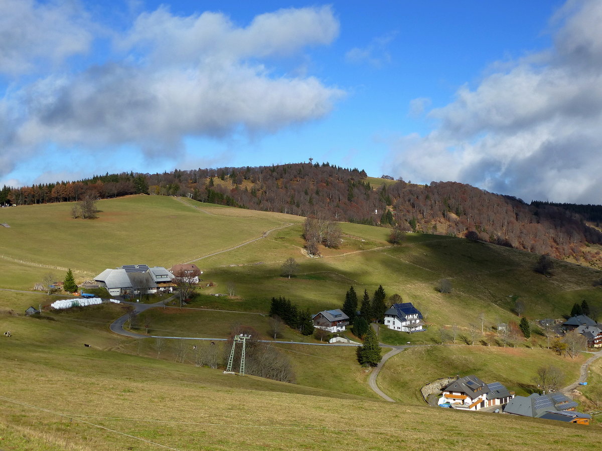 Blick über den Ort Hofsgrund zum Südabhang des Schauinslands, Nov.2018