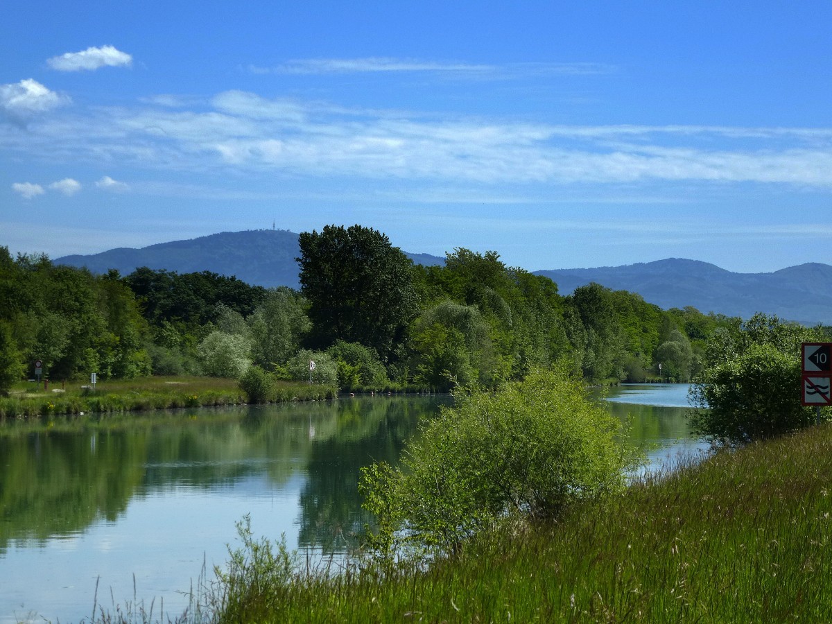 Blick über den Rhein-Rhone-Kanal im südlichen Elsaß, im Hintergrund der Schwarzwald, Mai 2014