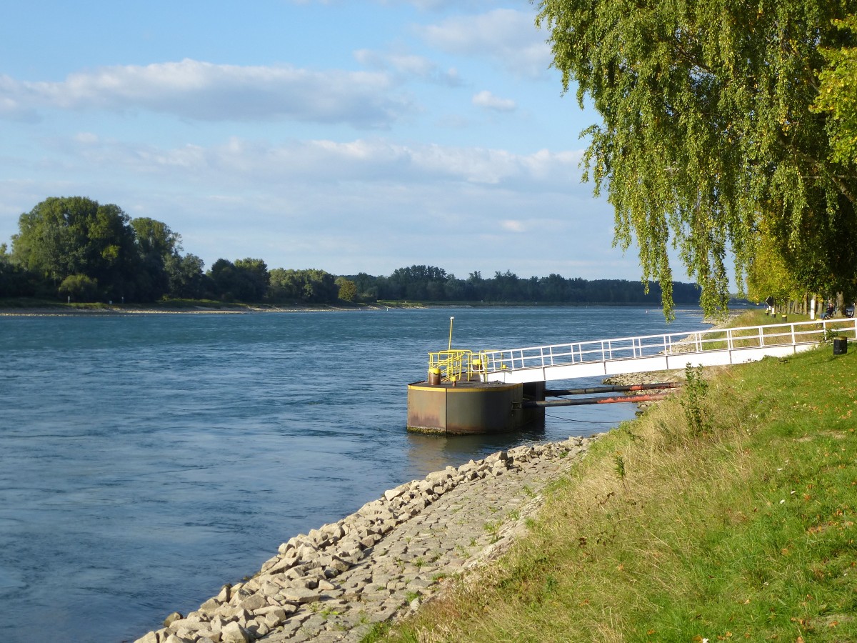 Blick ber den Schiffsanleger Rastatt rheinabwrts, Sept.2015